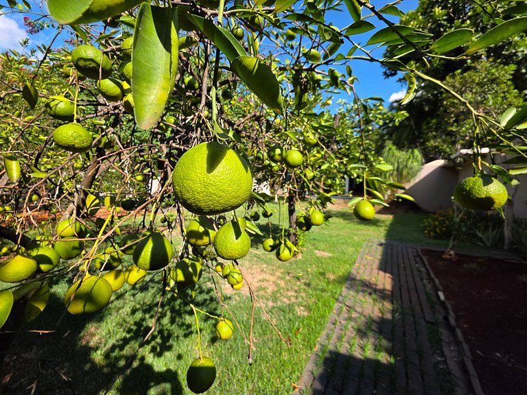 7 quartos - ótima área de lazer prox Centro e Cataratas