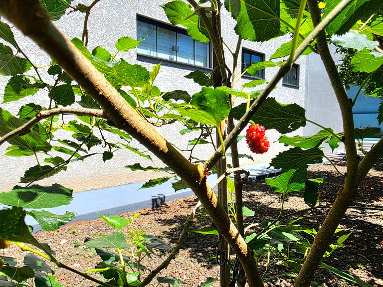 Casa para 8 pessoas com Piscina localização tranqu